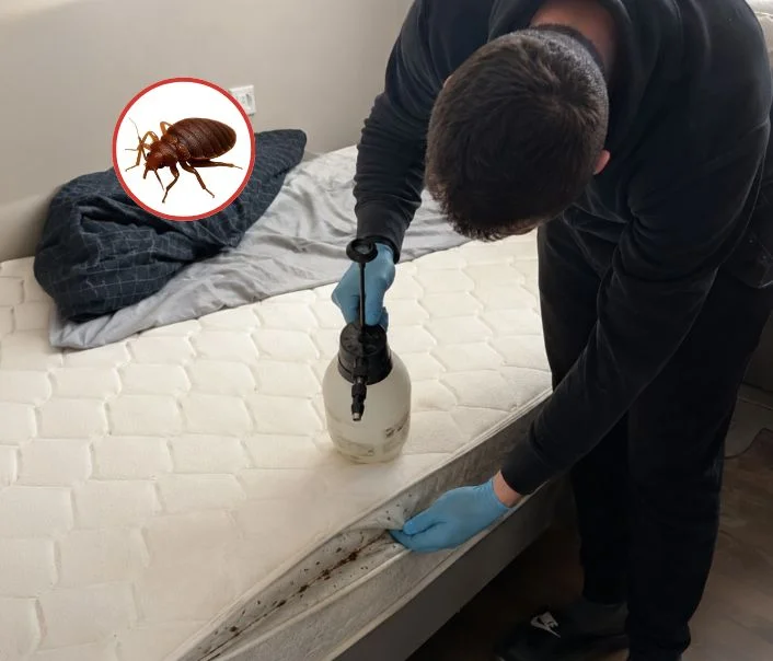 Technicien traitant un matelas contre les punaises de lit à Montlhéry